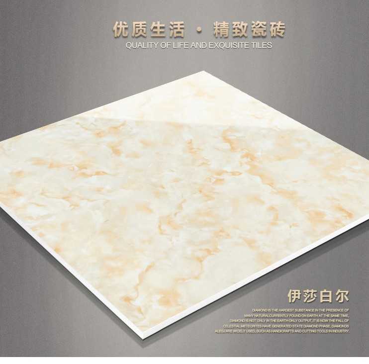 801GA單獨_02.jpg 801GA單獨_02.jpg